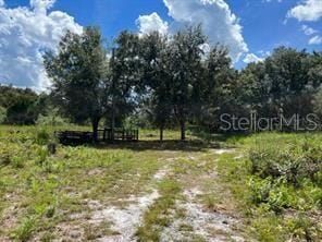 Timberland Property for sale in Brevard County, Florida