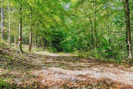 Timberland Property for sale in Pickett County, Tennessee