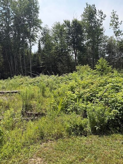Farm and Ranch for sale in Penobscot County, Maine