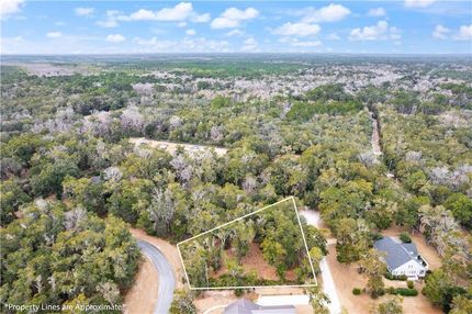 Undeveloped Land for sale in McIntosh County, Georgia