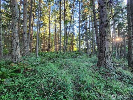 Undeveloped Land for sale in Island County, Washington