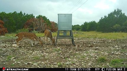 Land for sale in Kinney County, Texas