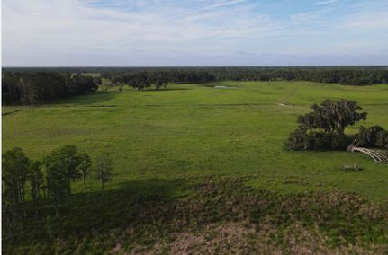 Land for sale in Levy County, Florida