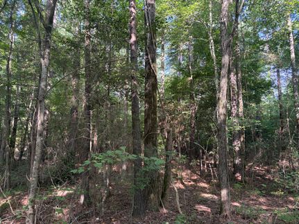 Land for sale in Cass County, Texas