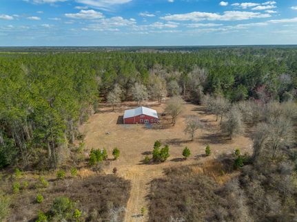 Waterfront Property for sale in Charlton County, Georgia