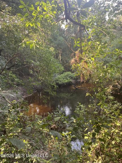 Lakefront Property for sale in Hancock County, Mississippi
