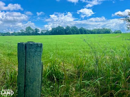 Timberland Property for sale in Shelby County, Alabama