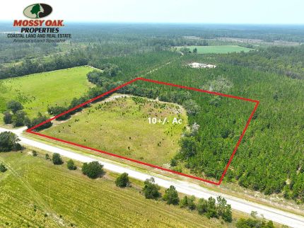 Farm and Ranch for sale in Pierce County, Georgia