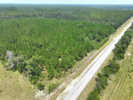 Farm and Ranch for sale in Pierce County, Georgia