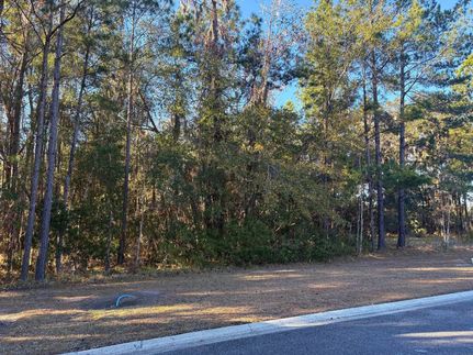 Land for sale in Camden County, Georgia