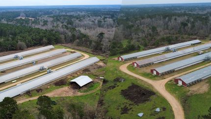 Farm and Ranch for sale in Amite County, Mississippi