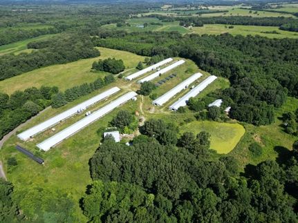 Land for sale in Crittenden County, Kentucky