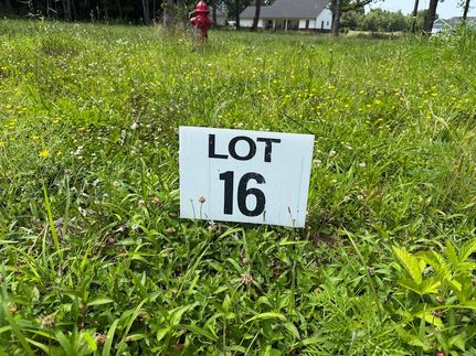 Undeveloped Land for sale in Graves County, Kentucky