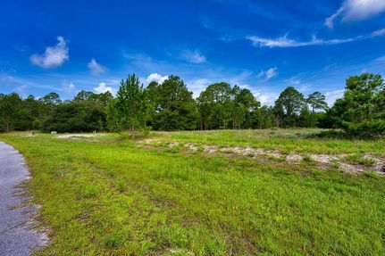 Undeveloped Land for sale in Franklin County, Florida