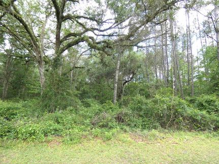 Undeveloped Land for sale in Jefferson County, Florida