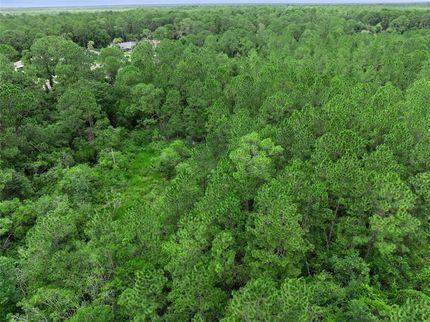 Farm and Ranch for sale in Volusia County, Florida