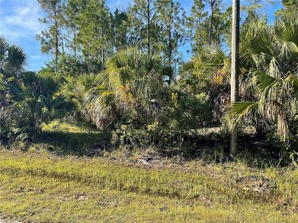 Undeveloped Land for sale in Lee County, Florida
