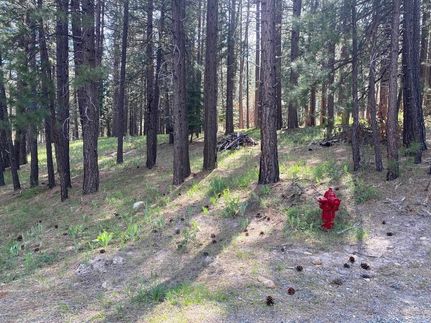 Farm and Ranch for sale in Plumas County, California