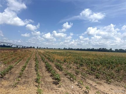Recreational Property for sale in Dunklin County, Missouri