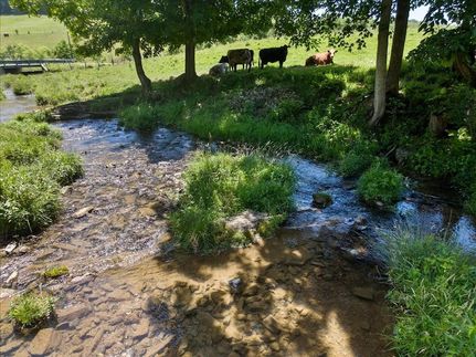 Recreational Property for sale in Bland County, Virginia