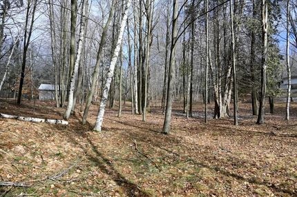 Farm and Ranch for sale in Osceola County, Michigan