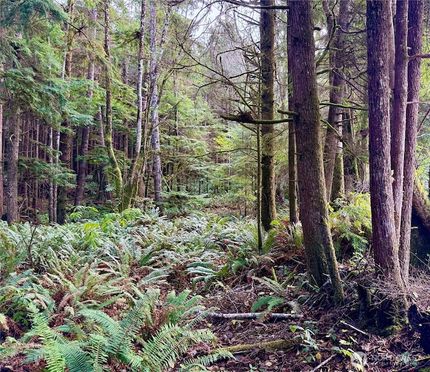 Timberland Property for sale in Grays Harbor County, Washington