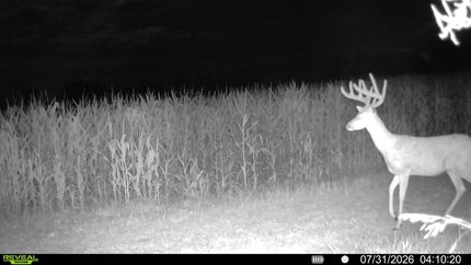 Land for sale in Knox County, Illinois