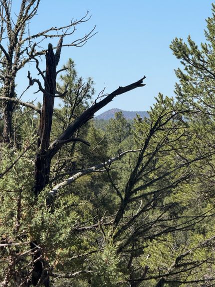 Land for sale in Cibola County, New Mexico