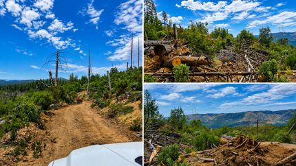 Land for sale in Lake County, California
