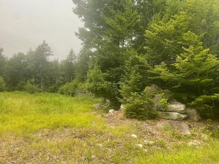 Farm and Ranch for sale in Oxford County, Maine