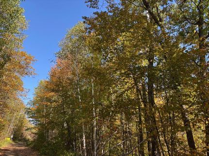 Farm and Ranch for sale in Hubbard County, Minnesota