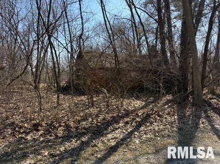 Farm and Ranch for sale in Menard County, Illinois
