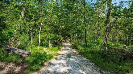 Undeveloped Land for sale in Licking County, Ohio