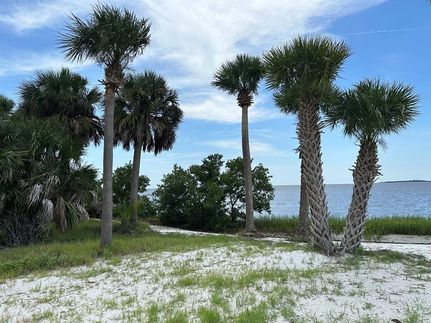 Farm and Ranch for sale in Levy County, Florida
