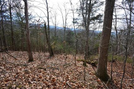 Farm and Ranch for sale in Tazewell County, Virginia