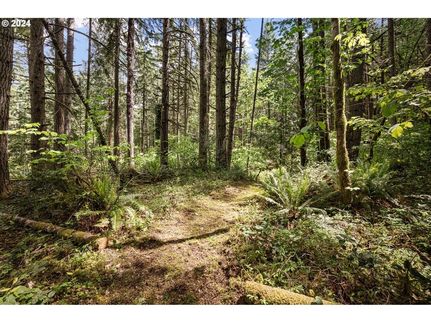 Commercial Property for sale in Lane County, Oregon