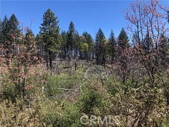 Farm and Ranch for sale in Lake County, California