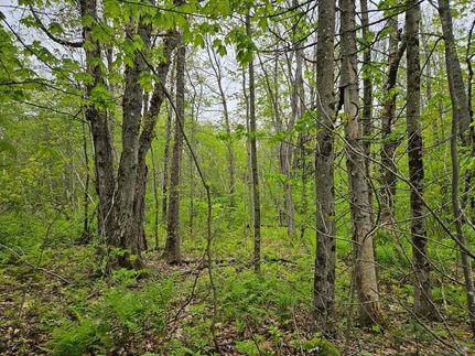 Farm and Ranch for sale in Franklin County, Maine