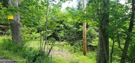 Farm and Ranch for sale in Greene County, New York