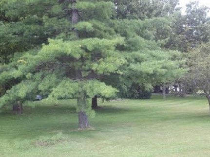 Farm and Ranch for sale in Winnebago County, Illinois