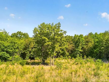 Timberland Property for sale in Campbell County, Virginia