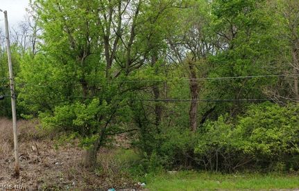 Farm and Ranch for sale in Mahoning County, Ohio