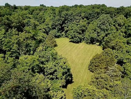 Undeveloped Land for sale in Adams County, Ohio