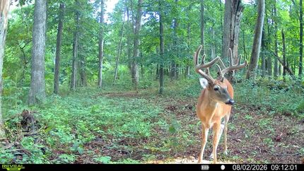 Land for sale in Adams County, Ohio