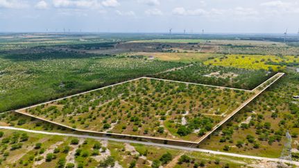 Farm and Ranch for sale in Bee County, Texas