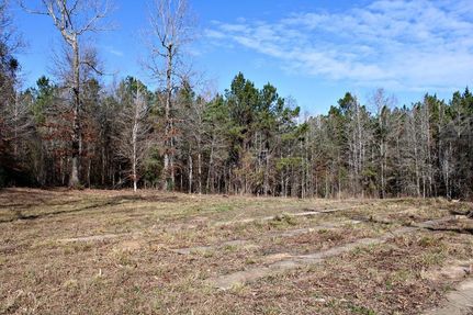 Undeveloped Land for sale in Newton County, Texas