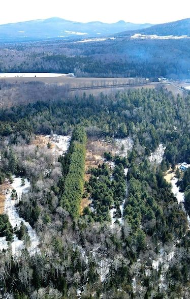 Timberland Property for sale in Orleans County, Vermont