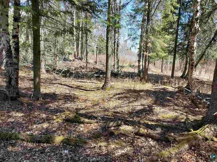 Land for sale in Cook County, Minnesota