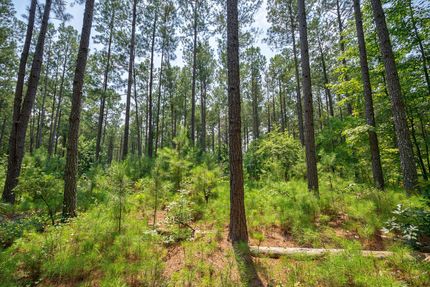 Land for sale in Oglethorpe County, Georgia
