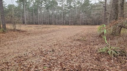 Undeveloped Land for sale in Laurens County, Georgia